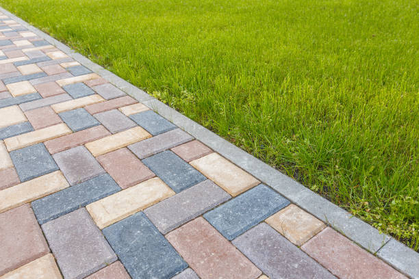 Best Driveway Paving Contractor  in Stevenson, AL